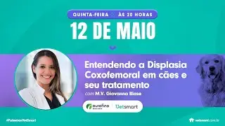 Entendendo a Displasia Coxofemoral em cães e seu tratamento