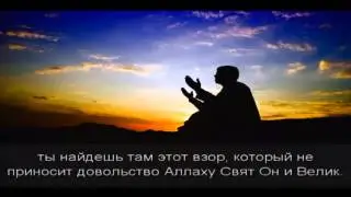 Шейх Мухтар Шанкыти  Притупление взора
