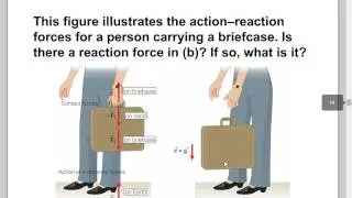 Physics Chapter 4 Forces and Motion