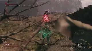Sekiro Семеро копьеносцев Асина - Сикибу