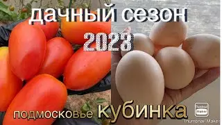 Самый интересный дачный сезон 2023
