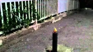 Pear explodes
