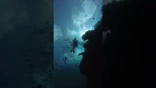 Menjangan Island