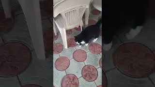 все без изменений,  песни по утрам