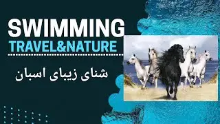 شنا با اسبان: هم‌زمان با امواج به آزادی می‌شتابیم