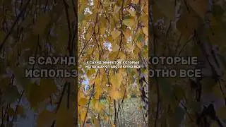 5 саундтреков 🔥 #саундтрек #продакшн #рилс #видеомейкер #творчество #shortvideo #like #рекомендации