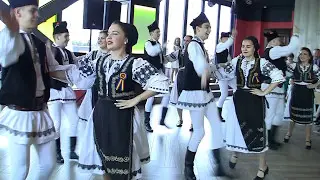 Suita de dansuri - Dor Transilvan