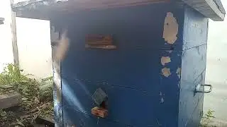 Работа на пасеке 02.07.2023, Самара. Начало главного взятка.