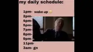my daily schedule meme