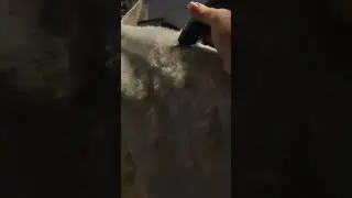 Машинка Heiniger Saphir Horse для лошадей