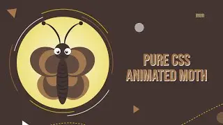 Pure Css Animated Moth | Css Animation Effects