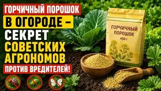 Mustard Powder in the Garden — The Soviet Agronomists' SECRET Against Pests