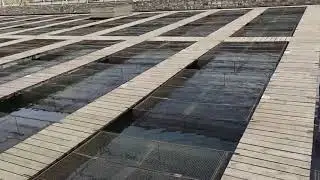 Главрыба