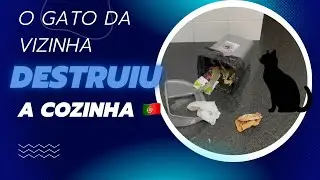 TEM UM GATO INTRUSO AQUI EM CASA 🇵🇹
