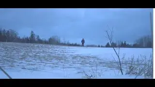 a l i a s j a z z - PRELUDE (Official Video)