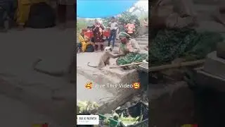 Most lovable video ❤❤❤#love#like#share#subscribe