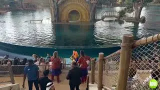 Tropical Ocean - SeaWorld Yas Island, Abu Dhabi