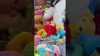 БОЛЬШОЙ ГУСЬ-ОБНИМУСЬ👌 просто лежал и ждал меня 🤗