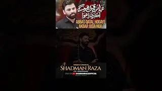 Hussain Reel 4 SRBAbbas (A.S) Qatal Hogaye Akbar (A.S) Juda Hua | Shadman Raza #shadmanraza
