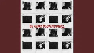 DR HEINX DOOFENSHMIRTZ
