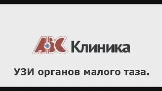 Узи органов малого таза