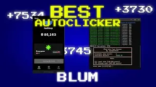 Как фармить быстро Blum | Лучший автокликер для Blum!