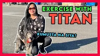 Sunday all about Titan (Update) | The rarest Giant Dog. Irish Wolfhound in the Philippines