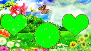 Teri muso ke teri look ok slowly slowly green screen hd video green screen music video green screen