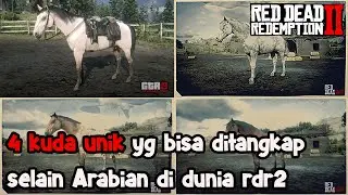 RDR2 | TIPS RDR2 | 4 KUDA UNIK YG BISA DITANGKAP SELAIN ARABIAN