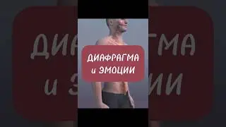 ОСВОБОДИТЬ ТЕЛО ОТ ЭМОЦИЙ 🙌 Спазм ДИАФРАГМЫ