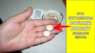 ВИТАМИНЫ ДЛЯ СОБАК, КОТОРЫЕ ШПИЦЫ ЛЮБЯТ БОЛЬШЕ МЯСА 😱 МУЛЬТИВИТАМИНЫ ДЛЯ МЕЛКИХ ПОРОД 8 В 1