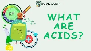 What are acids?