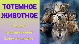 Как узнать своё тотемное животное и зачем это нужно? #психология #магия  #эзотерика