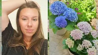 Пришла посылка с красивенными гортензиями и розой  🥰 Распаковка.  Обзор.