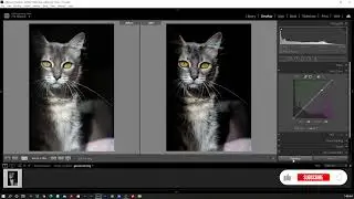 Lightroom 2023. Curva De Tonos | Niveles RGB🟥🟩🟦  | Video # 2