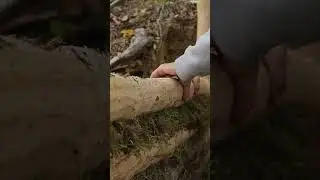 Survival Skills Unleashed: Bushcraft Solo Part 8