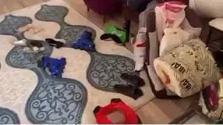 22 октября 2019 г.