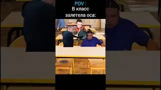 Оса в Классе | меллстрой