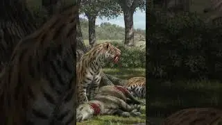 What Happened To The Prehistoric Big Dogs?  