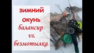 Зимний окунь. Балансир vs  безмотылка