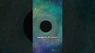 Journey into the Unknown: Falling into a Black Hole
