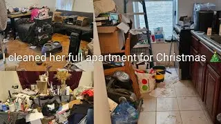 Christmas Miracle: FREE Apartment Cleaning for Someone in Need! 🎄✨