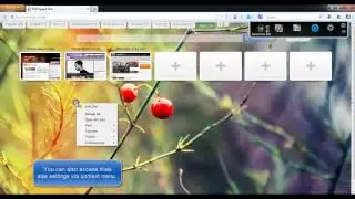 FireFox - How to change size of dials in FVD Speed Dial