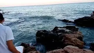 Чудовище на пляже в Торревьехе