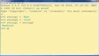 How to Concatenate Strings in Python programming language (plus operator)