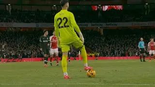 David Raya - Elite Goalkeeper (2024/25)