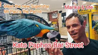 Paphos Bar Street & Paul'e the Parrot🦜 Kato Paphos Bar Street Paphos
