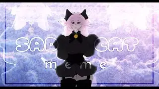 sad cat dance meme (oc)