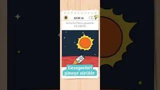 brain test 4 (seviye 130) 