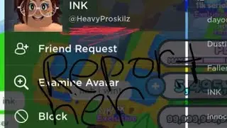 NEW SCAMMER IN PET SIM X! BE SAFE OUT THERE!